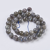 Natural Labradorite Beads Strands X-G-G212-10mm-23-2