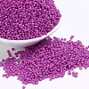 Baking Paint Glass Seed Beads SEED-US0003-2mm-K21-1