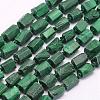 Natural Malachite Beads Strands G-F509-58-1