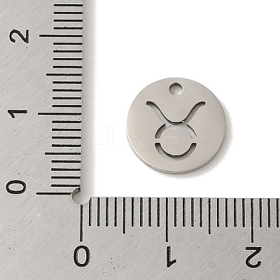 Non-Tarnish 201 Stainless Steel Charms STAS-E217-10P-02-1