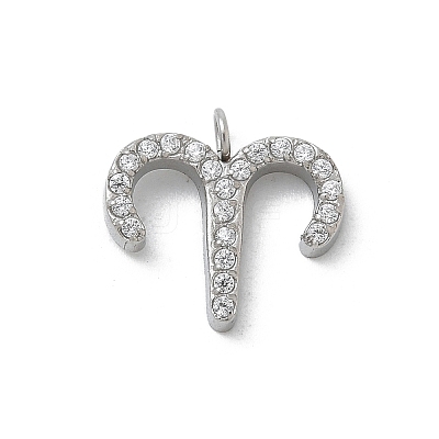 304 Stainless Steel Micro Pave Cubic Zirconia Charms STAS-Z107-09P-02-1