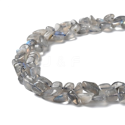 Natural Labradorite Beads Strands G-P497-01A-03-1