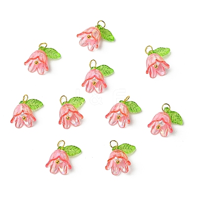Transparent Acrylic Pendants PALLOY-YW00081-07-1