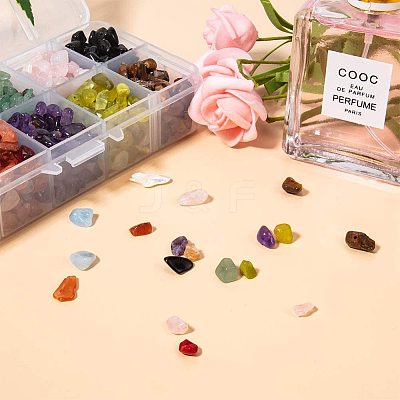 Natural Jade & Aquamarine &  Green Aventurine & White Shell & Red Jasper & Rose Quartz & Tiger Eye & Amethyst & Agate & Obsidian Chips Beads G-PH0033-03-1