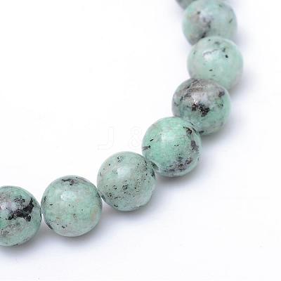 Natural Sesame Jasper/Kiwi Jasper Bead Strands G-R345-10mm-12-1