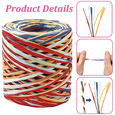 Segment Dyed Raffia Paper Cords for DIY Craft OCOR-WH20020-27H-1
