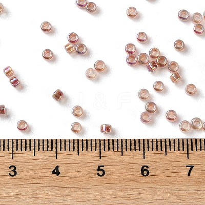 Glass Seed Beads SEED-S042-13A-17-1
