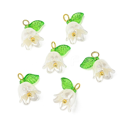 Acrylic Pendants OACR-D012-01C-1