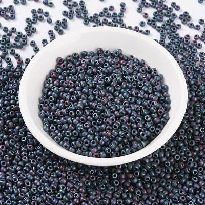 MIYUKI Round Rocailles Beads X-SEED-G008-RR2009-1