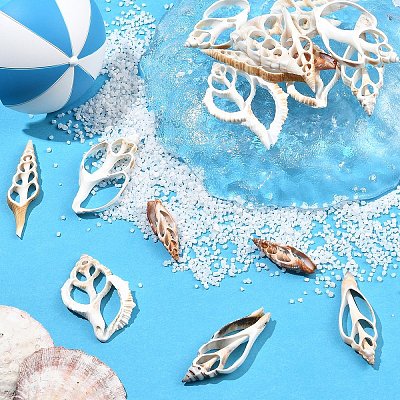 18Pcs 6 Styles Natural Shell Big Pendants BSHE-YW0001-20-1