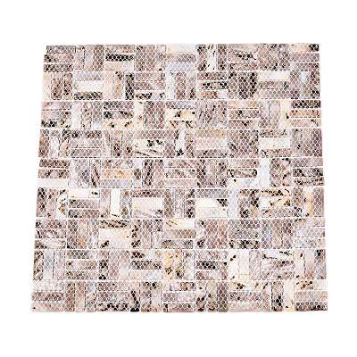 Natural Freshwater Shell Mosaic Tile Cabochons SHEL-Q029-02-1