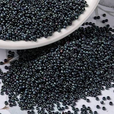 MIYUKI Round Rocailles Beads SEED-JP0010-RR2009-1