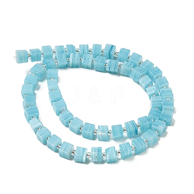Handwork Lampwork Beads LAMP-B022-01A-1