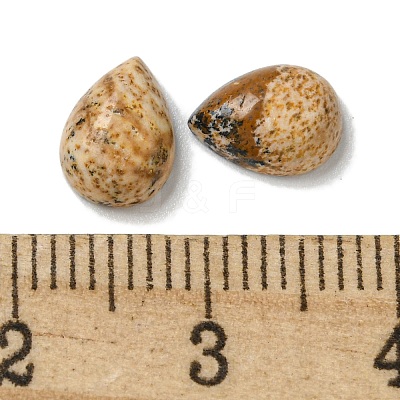 Natural Picture Jasper Cabochons G-Q173-02B-13-1