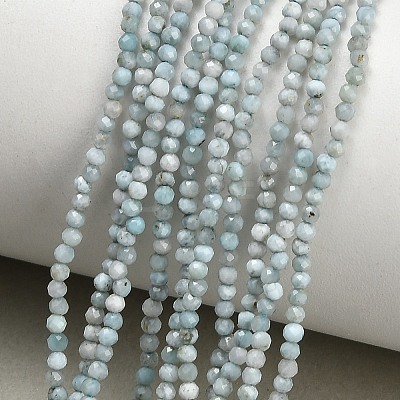 Natural Larimar Beads Strands GG-CBA77FB-B04-2mm-1