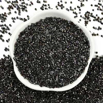 Electroplate Glass Seed Beads SEED-H003-10L-1