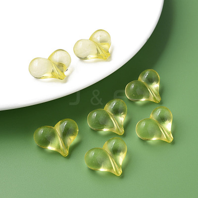 Transparent Acrylic Beads MACR-S373-70-B03-1