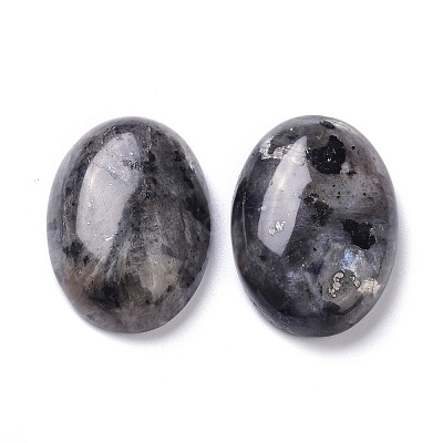 Natural Black Larvikite Cabochons G-Z020-10-1