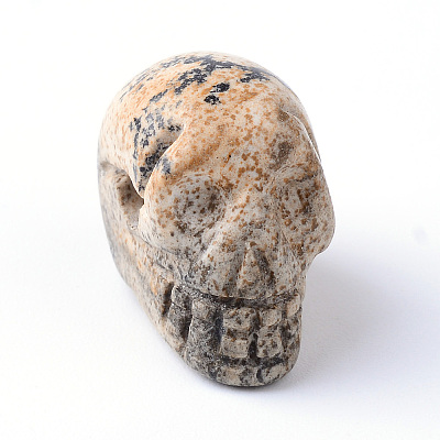 Natural Picture Jasper Beads G-R398-09-1