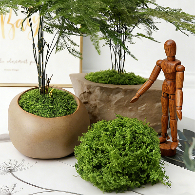 Polyester Artificial Moss DIY-CN0003-92C-1