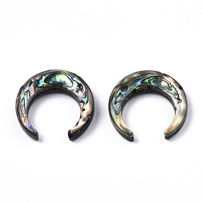 Natural Abalone Shell/Paua Shell Beads SSHEL-N034-122A-01-1