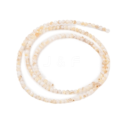 Natural Freshwater Shell Beads Strands SHEL-T011-02-4mm-1