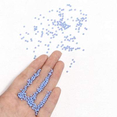 11/0 FGB Grade A Baking Paint Glass Seed Beads X-SEED-N001-A-1022-1