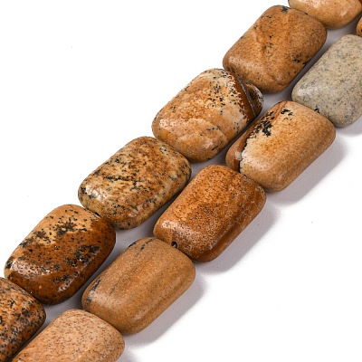 Natural Picture Jasper Beads Strands G-T047-B07-01-1