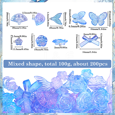 100G Transparent Frosted Resin Beads RESI-SC0003-26-1