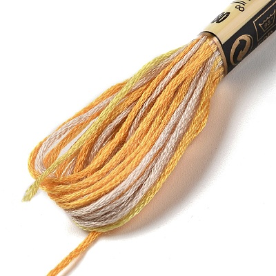 10 Skeins 6-Ply Polyester Embroidery Floss OCOR-K006-A18-1