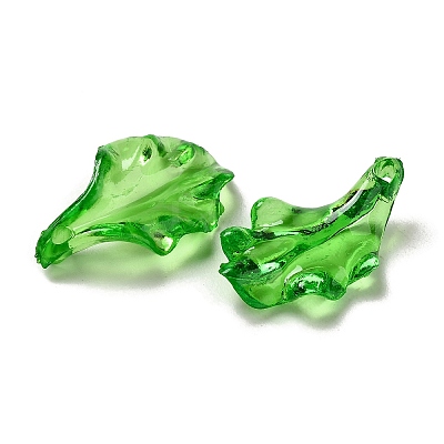 Transparent Acrylic Pendant OACR-E039-69E-1