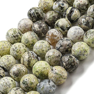 Faceted Natural Fire Crackle Agate Beads Strands G-F447-12mm-J01-1