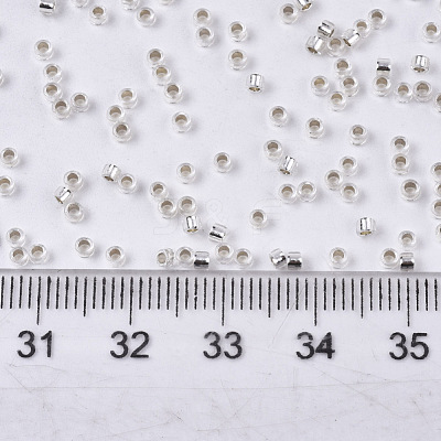 Glass Seed Beads X-SEED-S042-04B-06-1