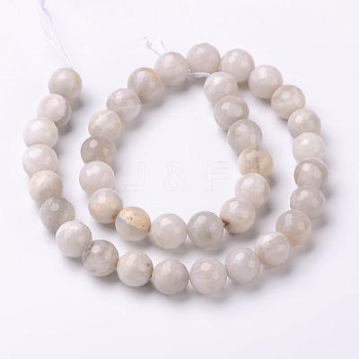 Faceted Natural Agate Round Bead Strands G-L383-11-10mm-1
