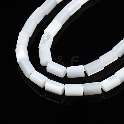 Natural Freshwater Shell Beads Strands X-SHEL-N003-26-A01-1