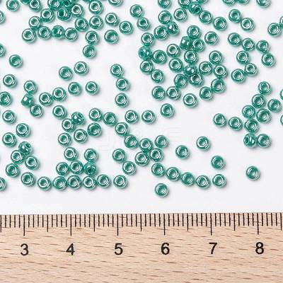 MIYUKI Round Rocailles Beads X-SEED-G008-RR0435-1