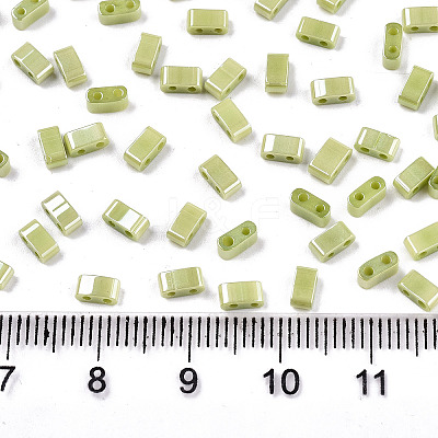 FGB 2-Hole Glass Seed Beads SEED-S031-M-SH124-1