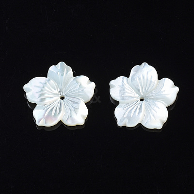 Natural White Shell Mother of Pearl Shell Beads SSHEL-T014-42C-1