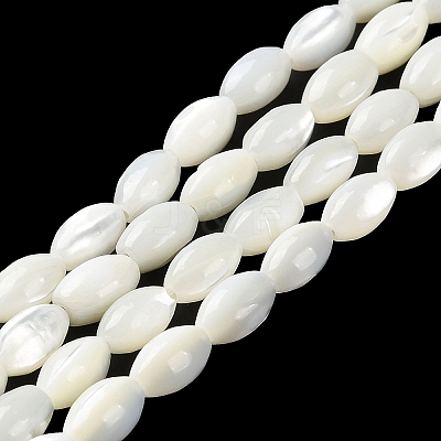 Natural Trochus Shell Beads Strands BSHE-E030-02A-1
