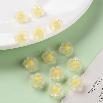 Transparent Acrylic Beads TACR-S152-06C-SS2105-1