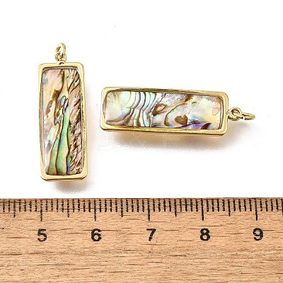 Natural Paua Shell & Epoxy Resin Pendants LS-KK-E794-02G-07-1