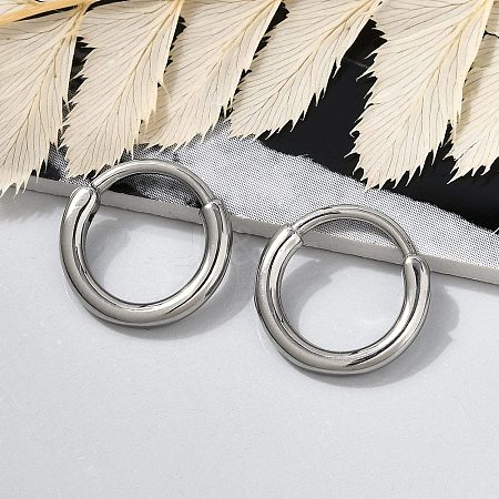 316 Surgical Stainless Steel Hoop Earrings EJEW-G416-42A-P-1