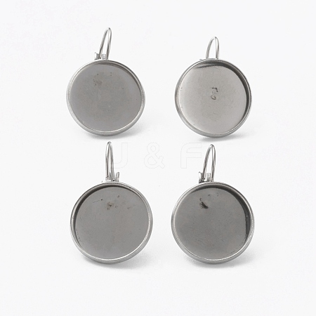 Tarnish Resistant 304 Stainless Steel Leverback Earring Findings STAS-L253-005B-P-1