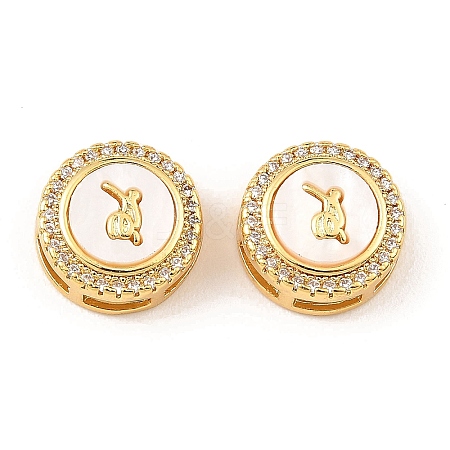 Brass Micro Pave Clear Cubic Zirconia Slide Charms KK-K342-09G-01-1