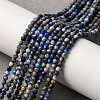 Natural Lapis Lazuli Beads Strands G-L629-B01-2mm-03-1