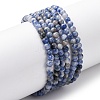 Natural Blue Spot Jasper Beads Strands G-Z116-A02-3mm-2