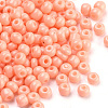 Baking Paint Glass Seed Beads SEED-Q025-3mm-L12-2