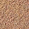 TOHO Round Seed Beads SEED-JPTR11-PF0551F-2