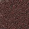 (Repacking Service Available) Baking Paint Glass Seed Beads SEED-C024-C-K18-2