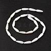 Natural Freshwater Shell Beads Strands SHEL-M018-09-3